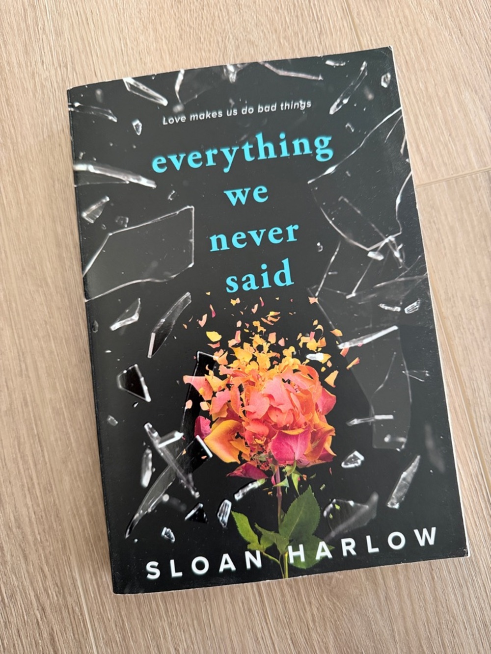 Everything We Never Said by Sloan Harlow
